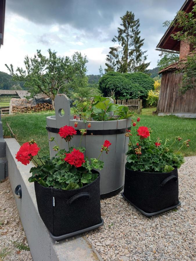 Pr' Sovarjo Zgornje Gorje 外观 照片